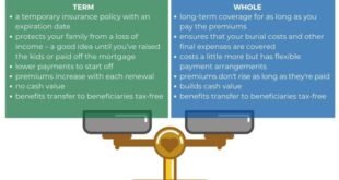 what is the difference between term and whole life insurance