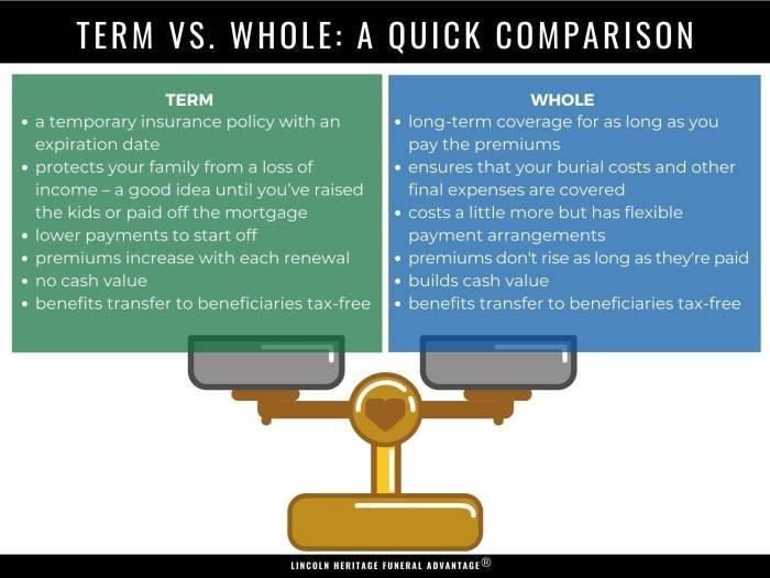 what is the difference between term and whole life insurance