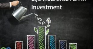 investment