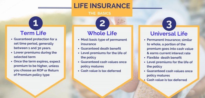what are the different types of life insurance policies terbaru