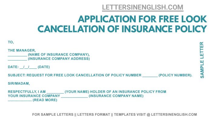 - How to cancel an insurance policy?