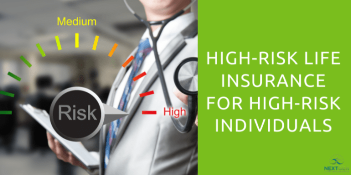 hippo insurance risk high life activities za